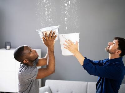 About Elyndra Vault - water damage restoration experts in Santa Monica